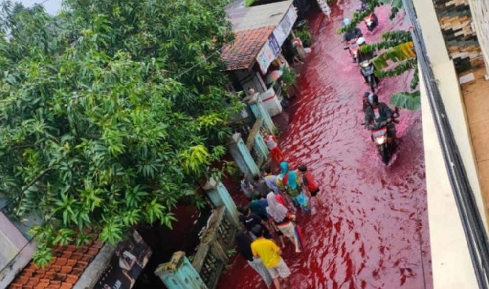 Les habitants de Jenggot, près de la ville de Pekalongan, se sont retrouvés samedi en train de patauger dans une eau rouge sang.