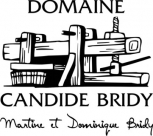 Candide Bridy
