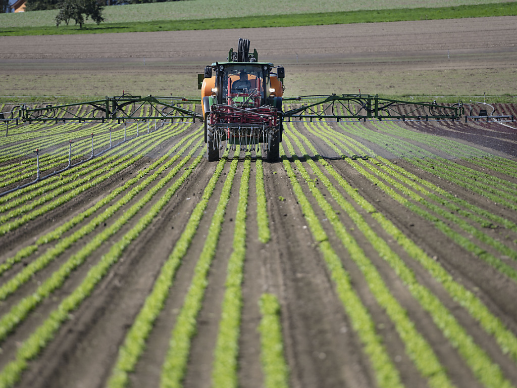 Les Suisses se prononceront sur deux initiatives portant sur les pesticides en juin.