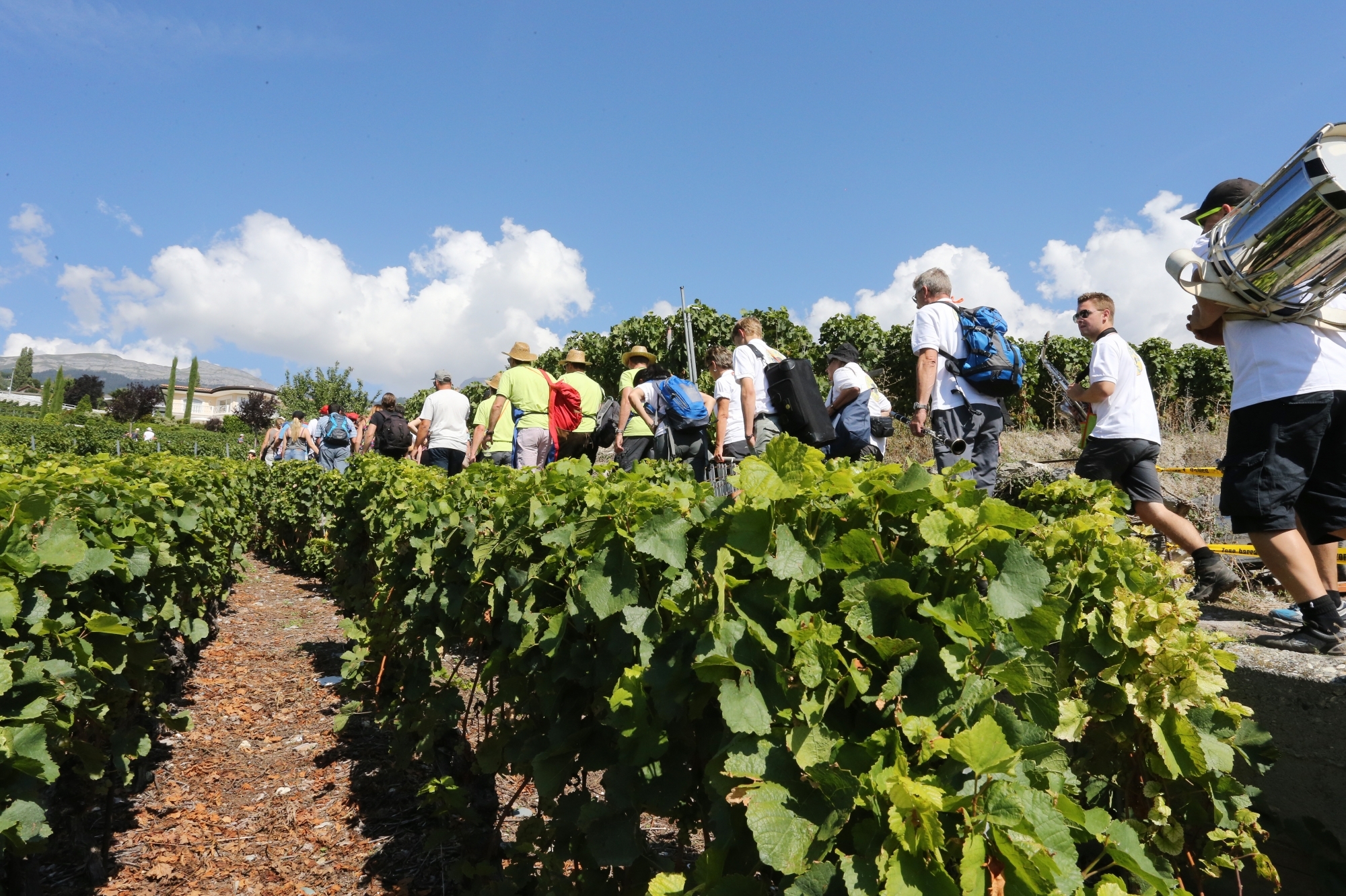 Le peloton des participants de la Marche des cépages devra attendre 2022 pour repartir à la découverte des vignerons-encaveurs disséminés entre Sierre et Salquenen.