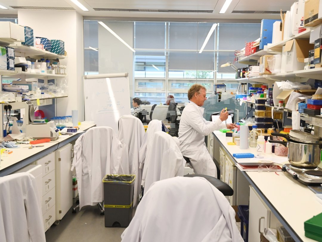 Pour l'heure, un tiers des publications scientifiques britanniques sont le fruit de collaborations avec des chercheurs européens.
