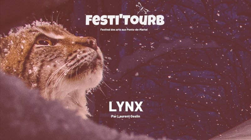Lynx - Laurent Geslin