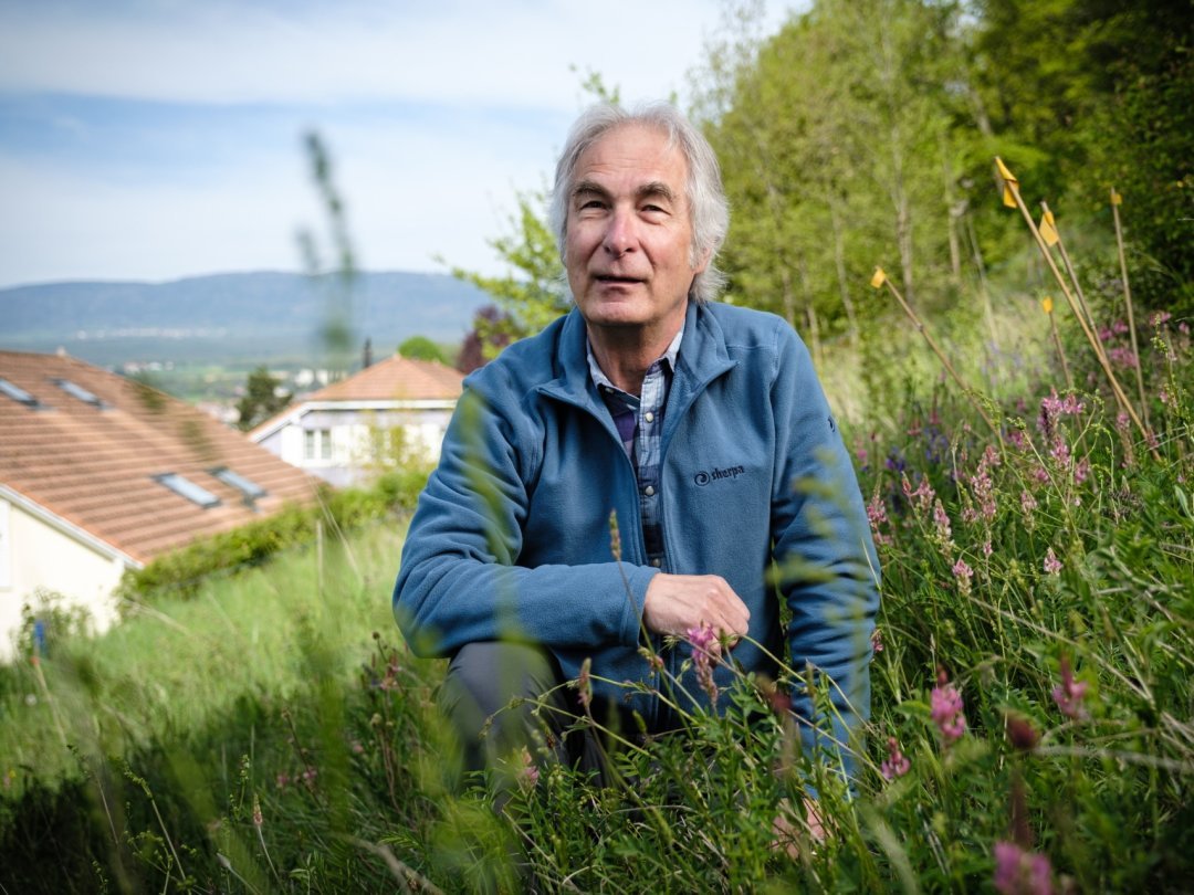 Alain Chanson vit à Eclépens, au pied de la colline du Mormont qu'il a toujours défendue contre son exploitation par Holcim. Dans ce pré, des orchidées rares s'épanouissent.