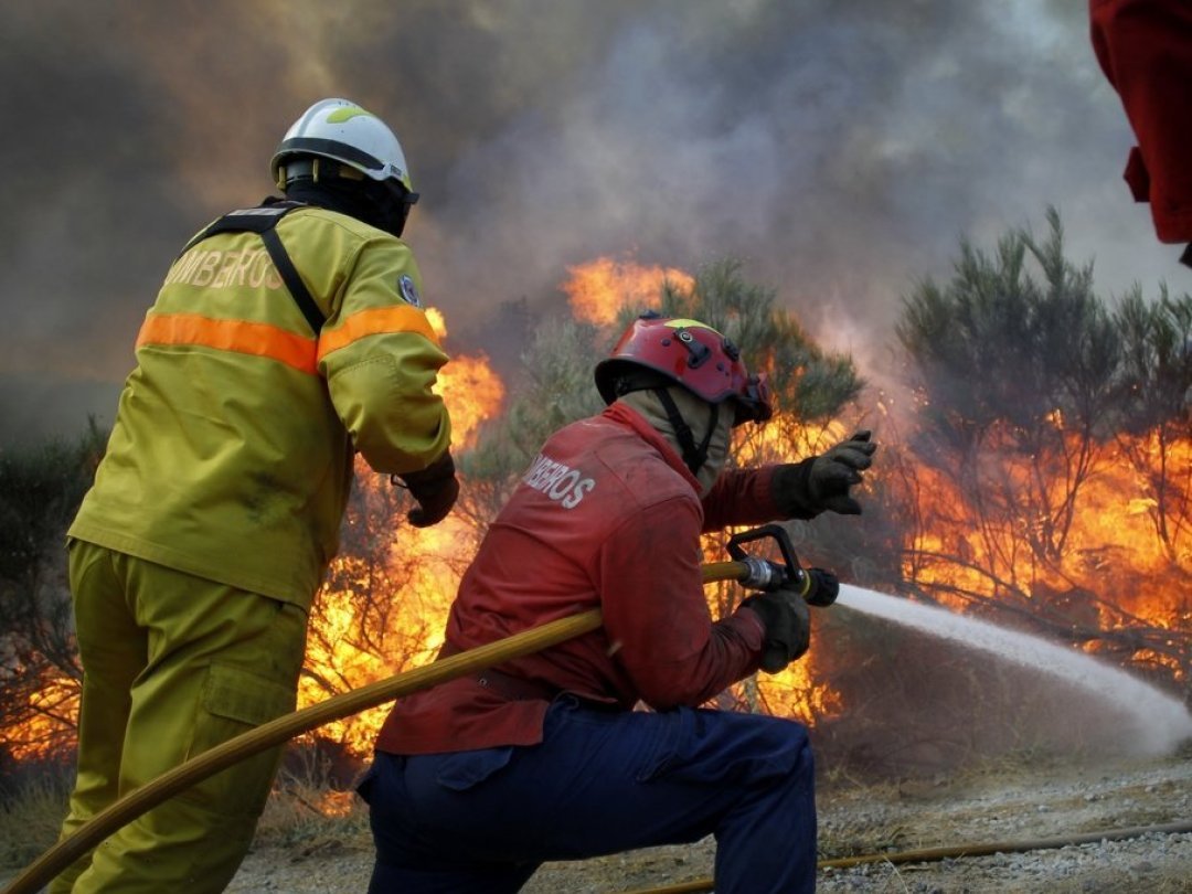L’incendie s’est déclaré samedi, dans la commune de Covilha.