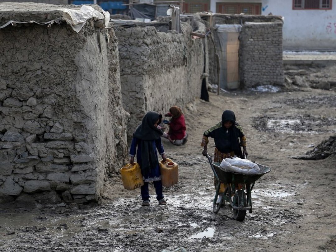 Des enfants transportent de l'eau potable dans la région de Kaboul. Hommes et bétail souffrent de la vague de froid.