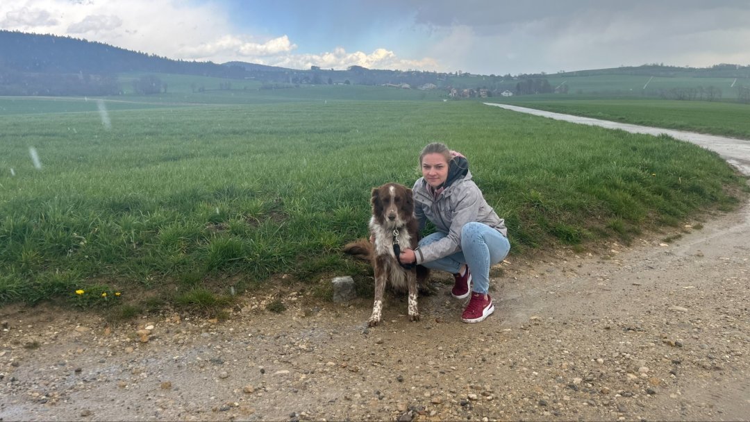Vaud: un loup menace une joggeuse et son chien à 200 m d'un village