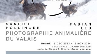 Valais Sauvage - Photos animalières au Diognysos