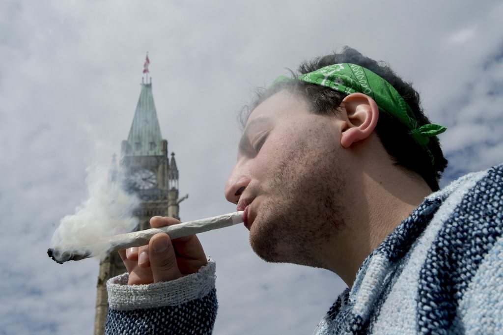 Les mouvements de libéralisation s'étendent à travers le monde, mais certaines études tendent à prouver la nocivité du cannabis sur la santé.