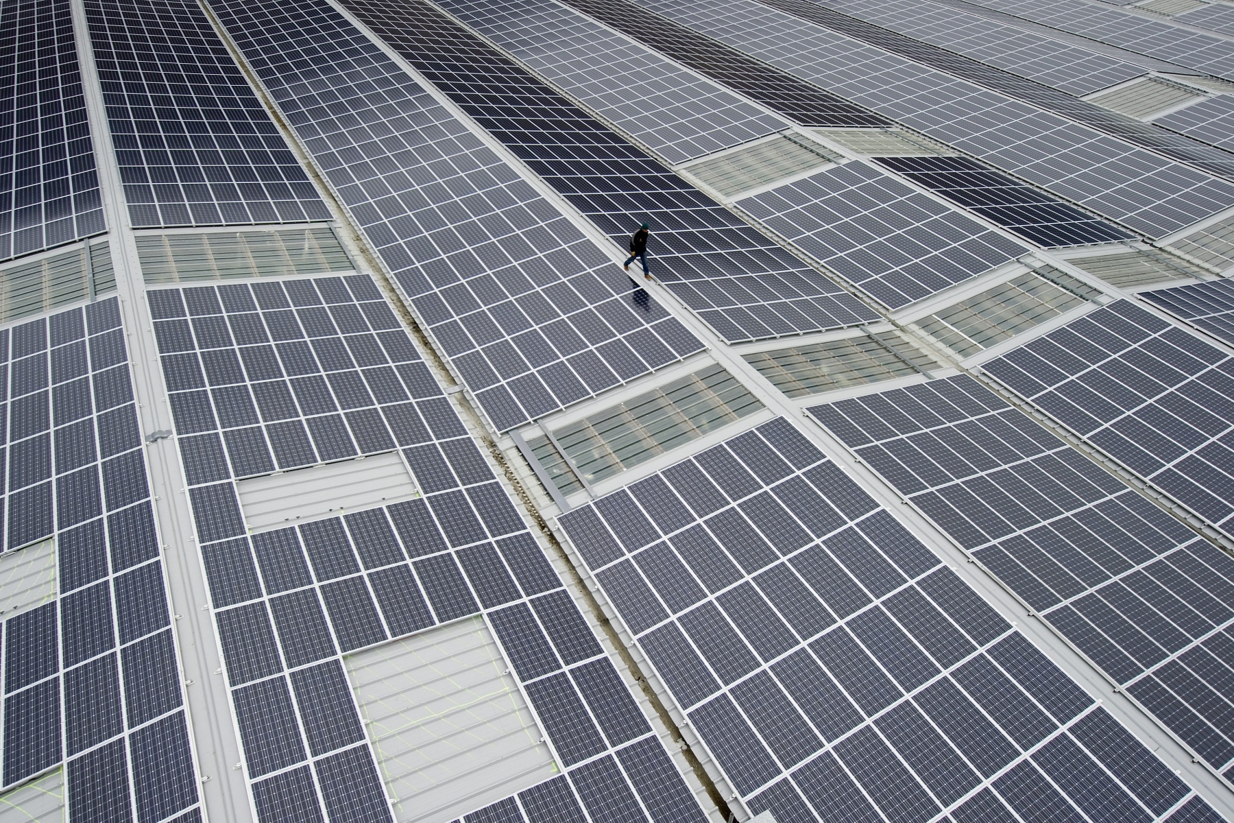 L'association Surface solidaire veut regrouper les forces autour de grandes centrales photovoltaïques.