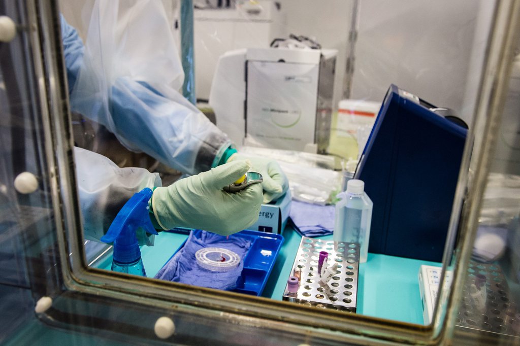 L'équipe de Tanja Stadler, du Département des biosystèmes de l'EPFZ à Bâle, a analysé les séquences d'ADN de 70 patients tombés malades d'Ebola en mai et juin en Sierra Leone, établissant un arbre généalogique du virus à l'aide d'un programme informatique.