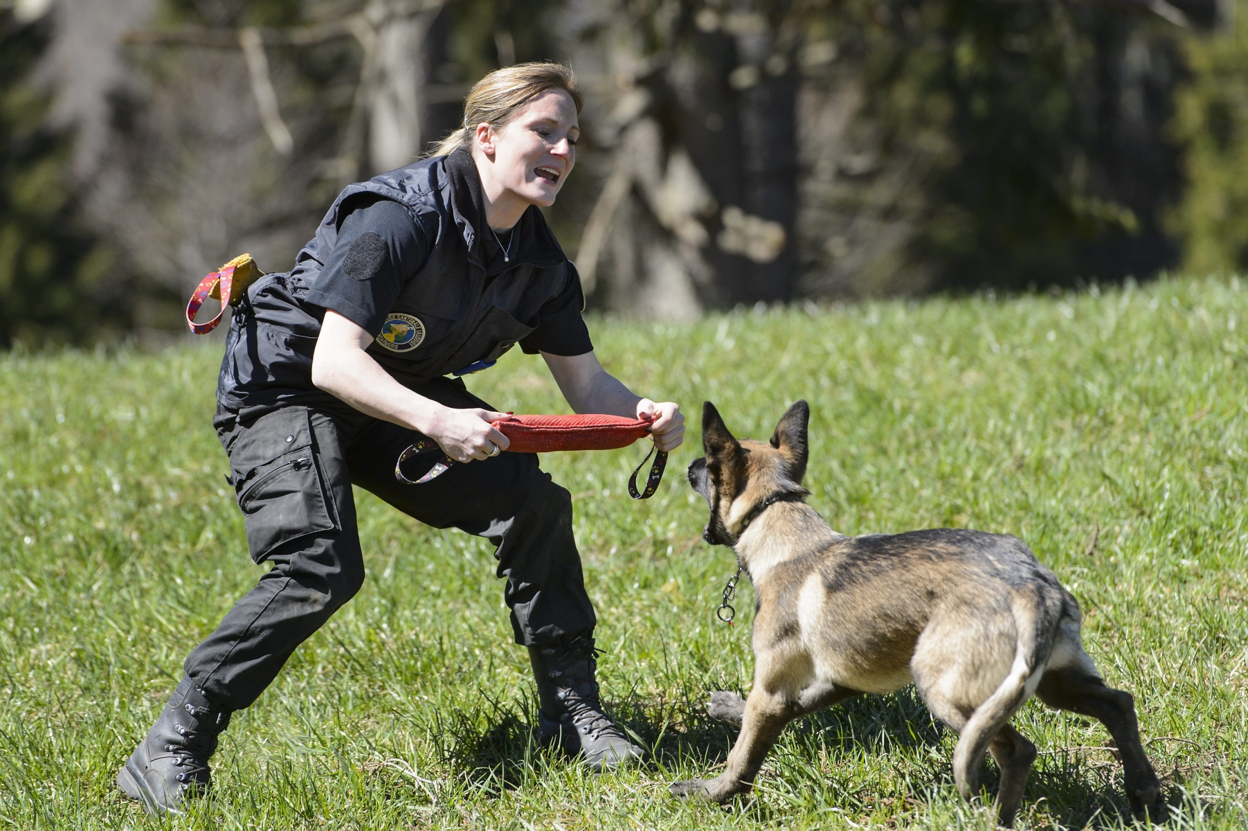 La policière Jeraldine Neuhaus de la brigade canine fait des exercices avec son chien, Eros, lors de la 48eme édition des cours de formation continue des chiens de police organise par la brigade canine de la Police cantonale vaudoise.