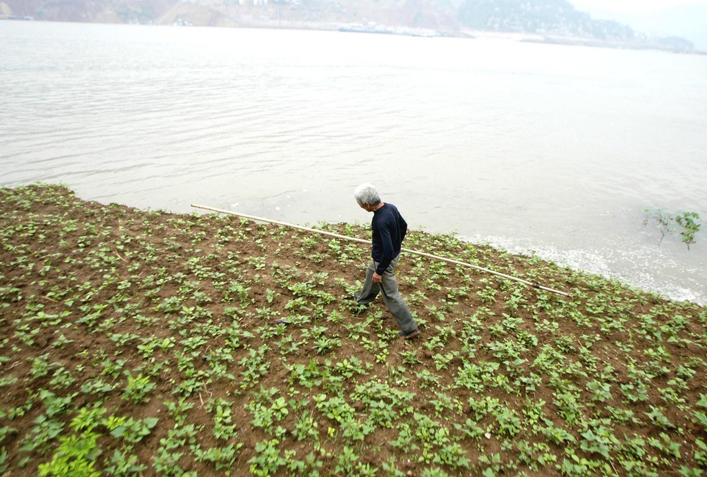 L'Agroscope teste la culture de patates douces en Suisse. Ici, une plantation en Chine. 