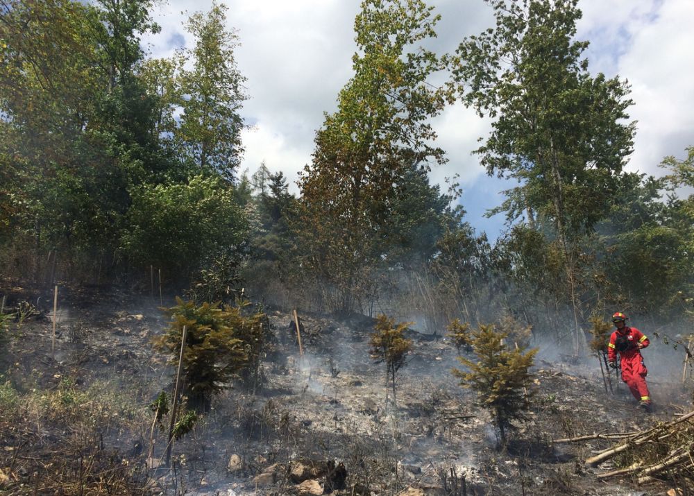 En Valais, le danger d'incendie de forêt est actuellement marqué dans deux régions, celle de Sion-Sierre-Leuk, et celle de Riddes-Saxon.