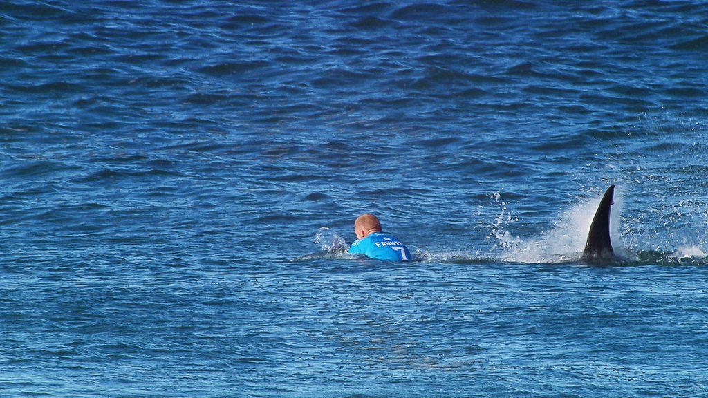 epa04853415 A handout picture made available by the World Surf League of Australia's Mick Fanning being attacked by a shark in the final round of the JBay Open surfing event as part of the World Surf League in Jeffreys Bay, South Africa, 19 July 2015. The final round was cancelled after Fanning was being attacked by a shark.  EPA/WORLD SURF LEAGUE  HANDOUT EDITORIAL USE ONLY/NO SALES