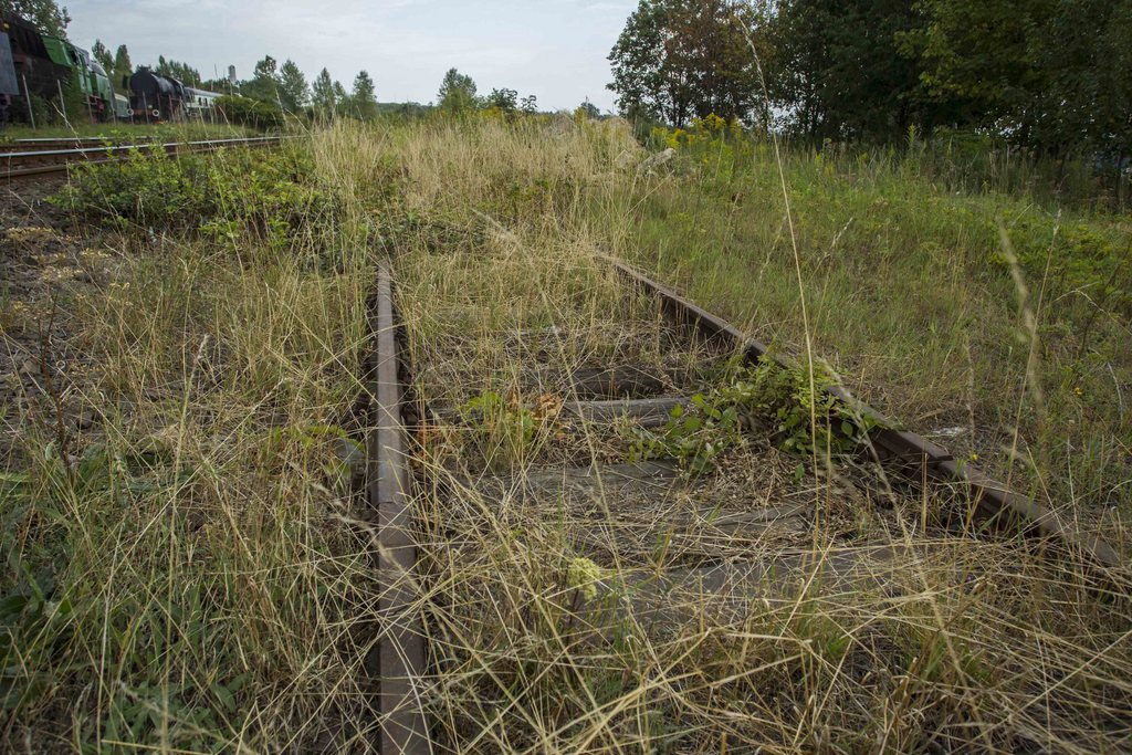 C'est sur cette ligne abandonnée entre Wroclaw et Walbrzych que les chercheurs espèrent trouver le fameux train.