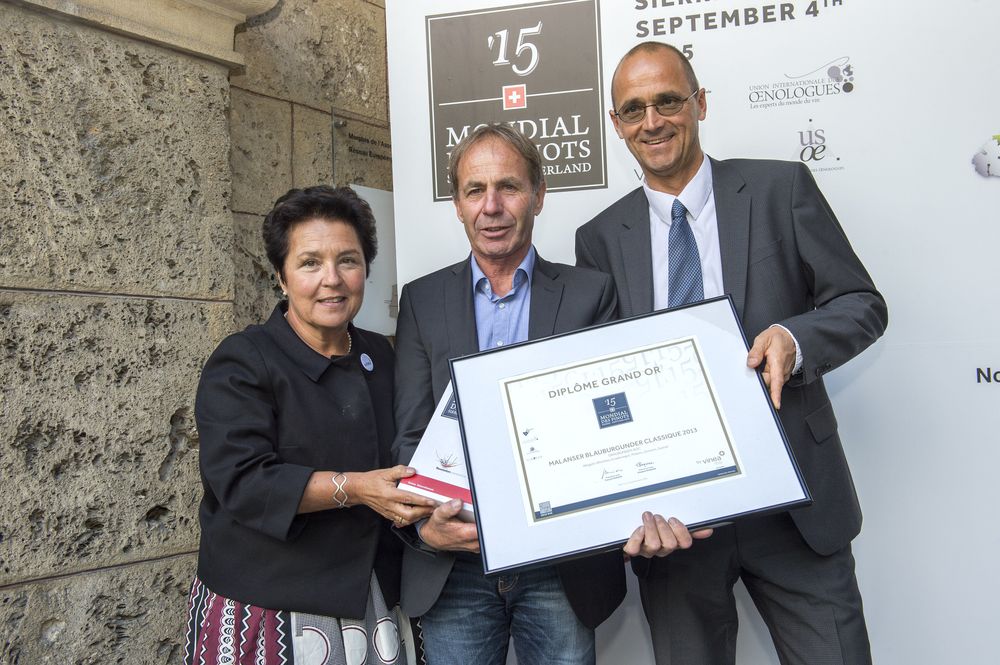 Une seule Grande médaille d'Or suisse pour le Mondial des Pinots 2015, celle attribuée à la maison grisonne Wegelin Weinbau Scadenagut pour son Malanser Blauburgunder Classic 2013.








