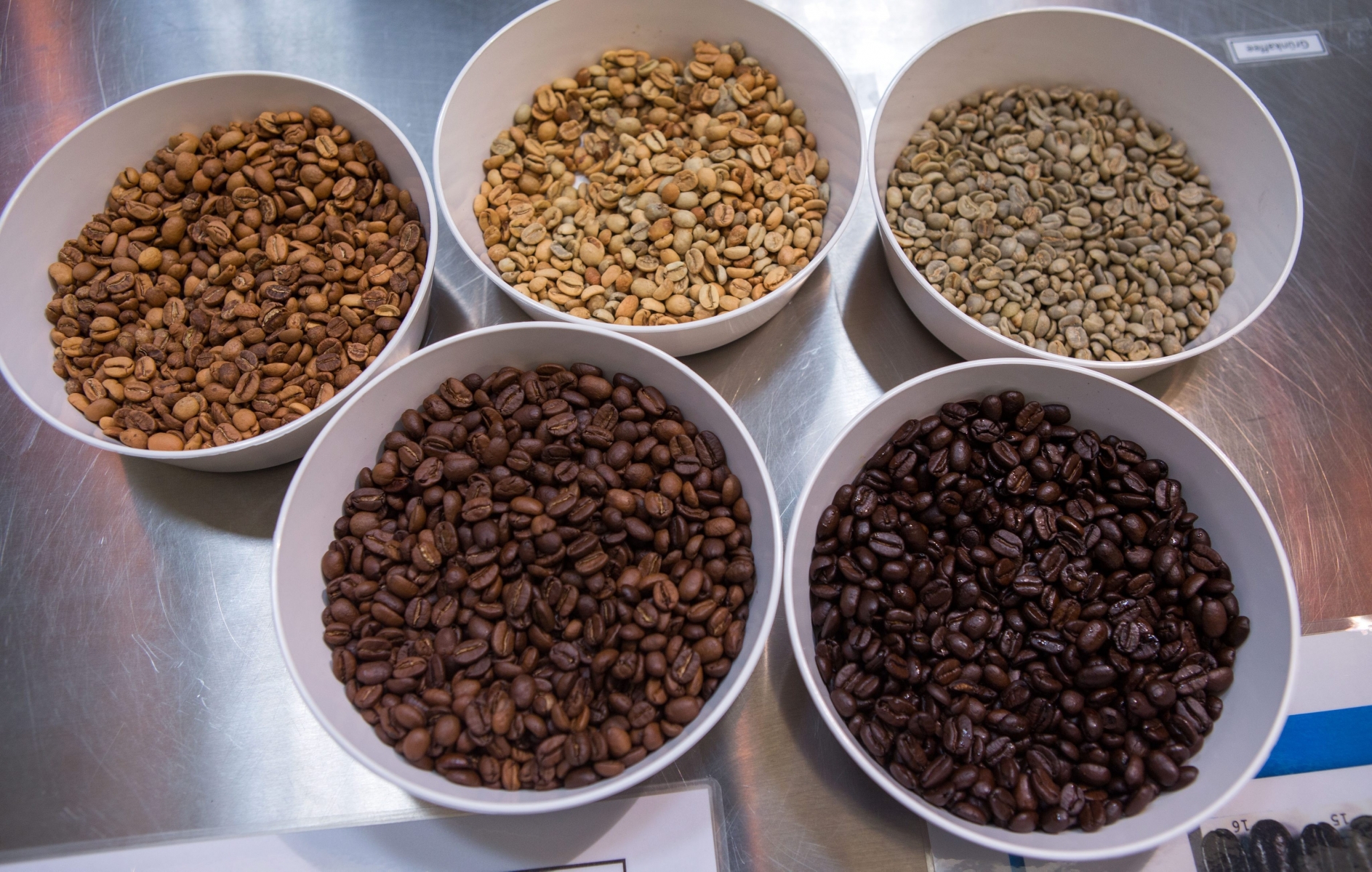 epa04956280 (FILE) A file picture dated 05 Sepotember 2014 of coffee beans of various roasts on display during the start of production of food giant Nestle's new coffee production line in Schwerin, Germany. The inaugural International Coffe Day is observed on 01 October 2015.  EPA/JENS BUETTNER *** Local Caption *** 51554207 FILE GERMANY COFFEE