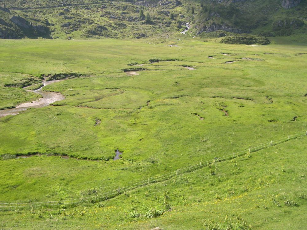 Le vallon de Réchy est l'un des derniers sites des Alpes valaisannes sans installations touristiques et aménagements hydroélectriques.