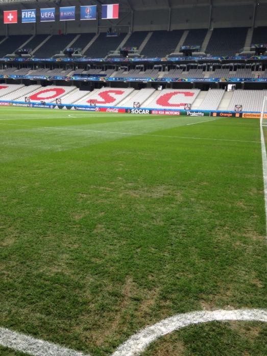 La pelouse du stade Pierre-Mauroy de Lille est en piteuse état. 