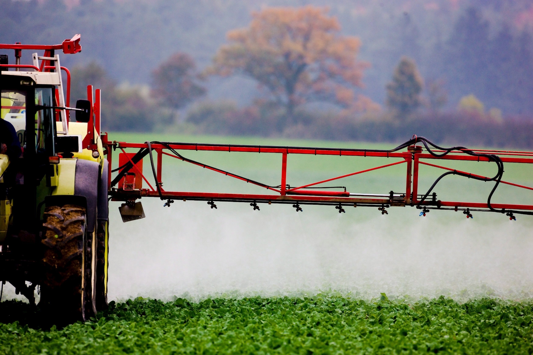 A picture dated 14 October 2008 shows a farmer spraying pesticides on his field in Germany.  EPA/PATRICK PLEUL DEUTSCHLAND LANDWIRTSCHAFT PESTIZIDE