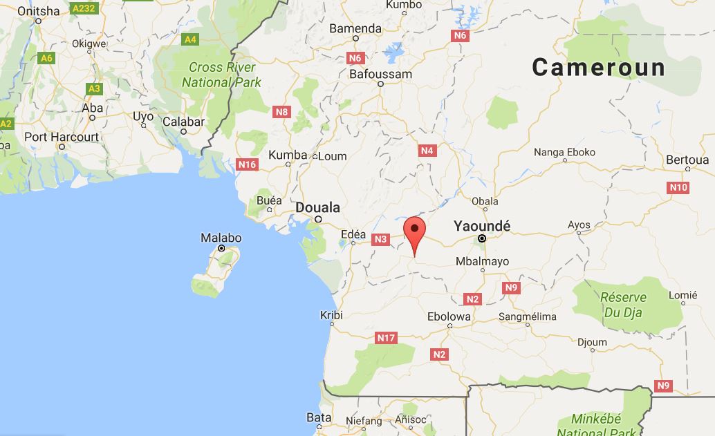 Le train reliait les deux grandes villes du Cameroun: Douala et Yaoundé.