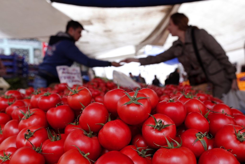 Le professeur d'horticulture à l'université de Floride, qui a mené cette étude, affirme "pouvoir rendre les tomates de supermarché bien meilleures".  (Illustration)