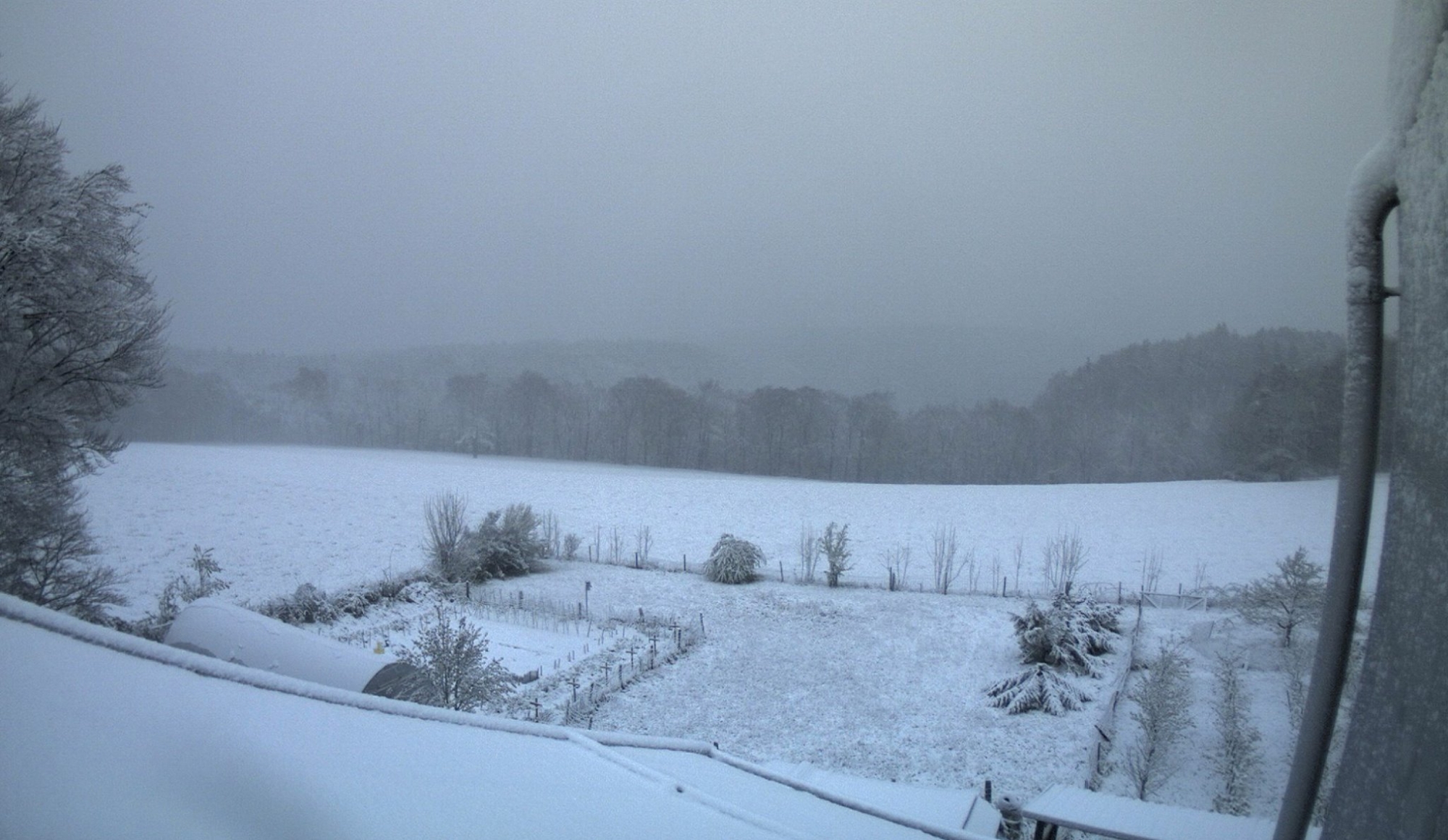 Dans le nord de la Suisse, ici à Randen, dans le canton de Schaffhouse, l'hiver a fait un retour marqué.