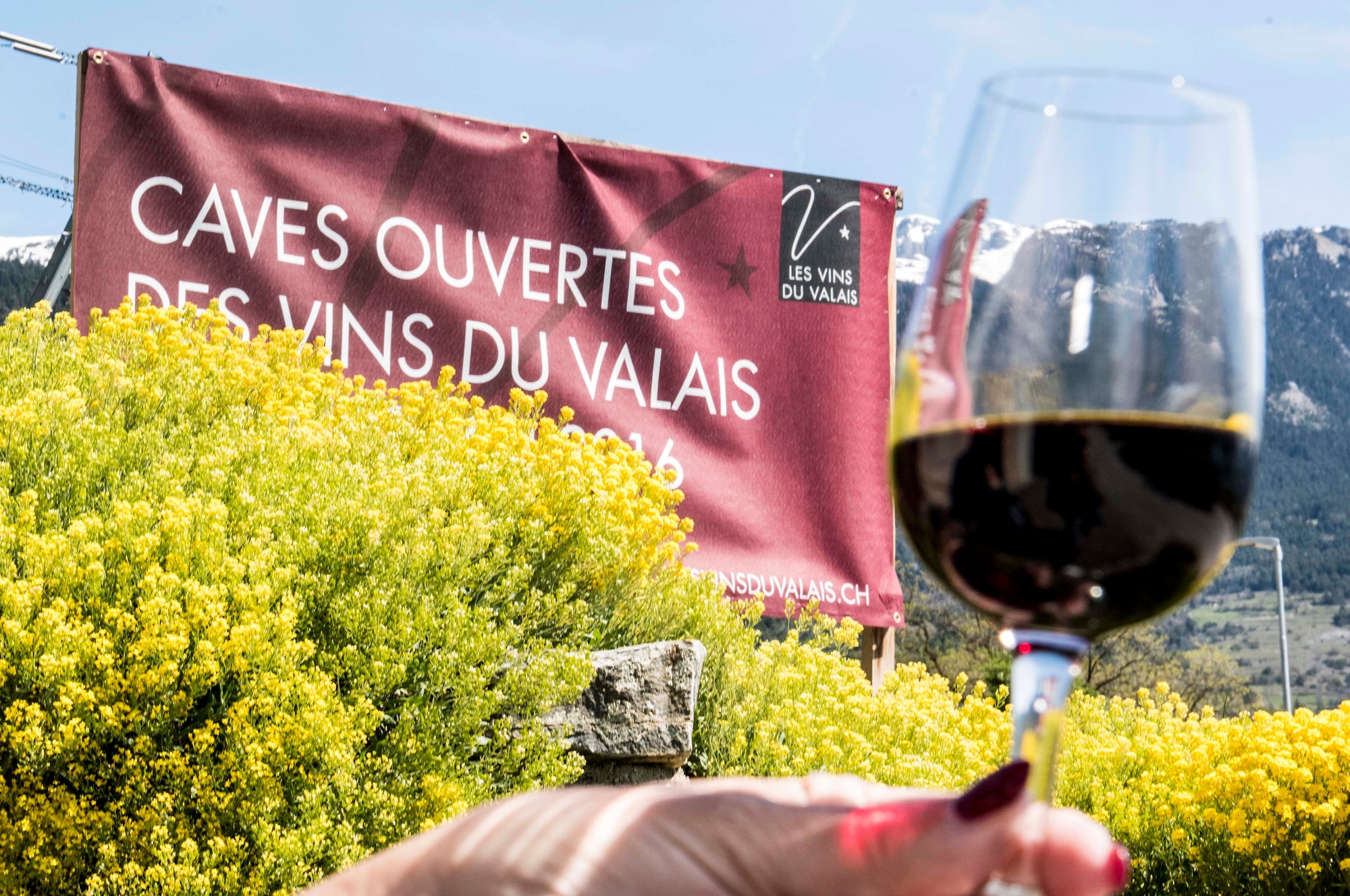 Les Caves ouvertes des vins du Valais auront lieu les 28, 29 et 30 août 2020.