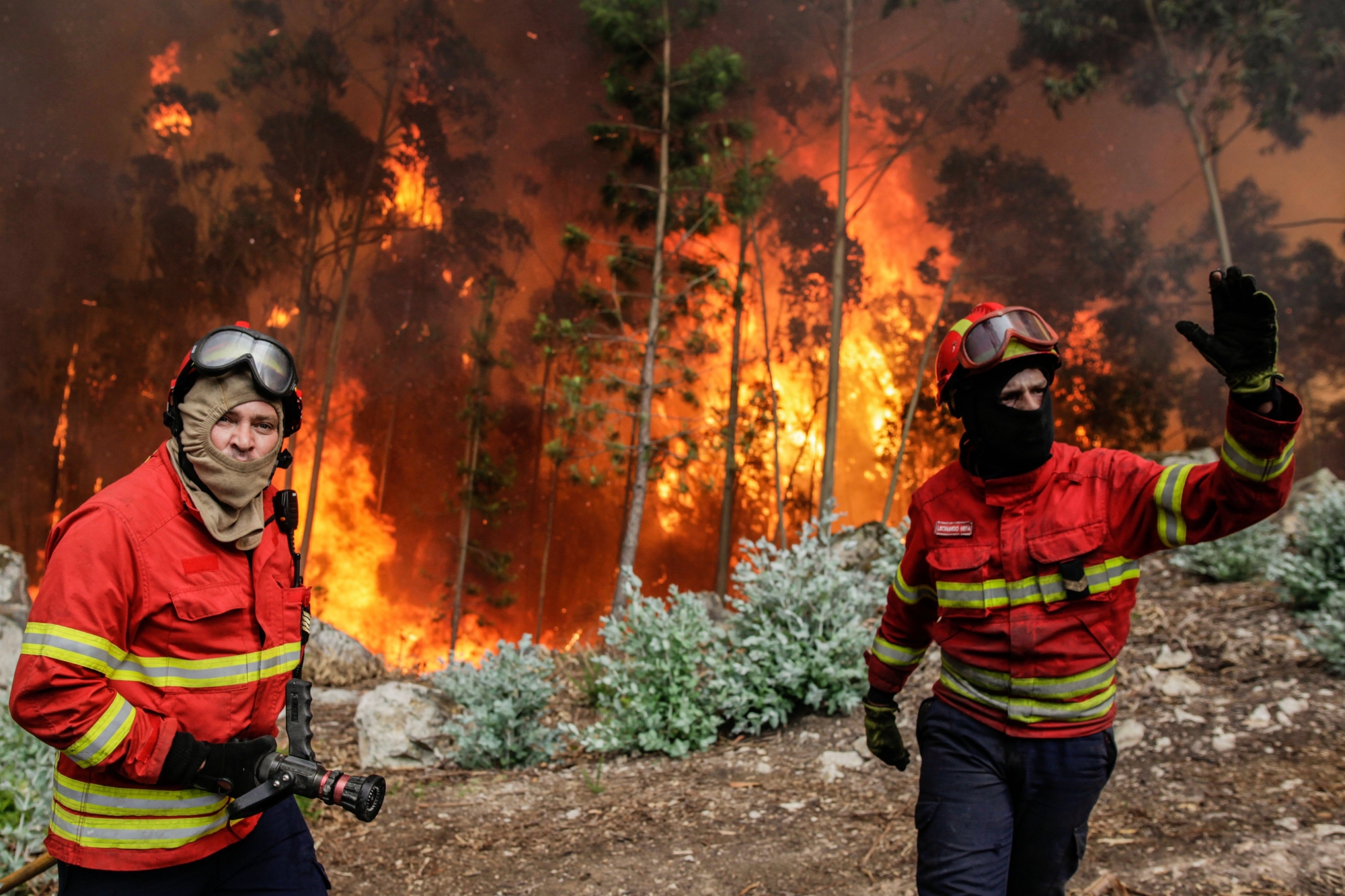 epa06035625 Firefighters battle with a forest fire in Vale das Porcas, Alvaiazere, central Portugal, 18 June 2017. At least sixty two people have been killed in forest fires in central Portugal, with many being trapped in their cars as flames swept over a road on the evening of 17 June 2017. A total of 733 firefighters are providing assistance.  EPA/PAULO CUNHA PORTUGAL FOREST FIRES