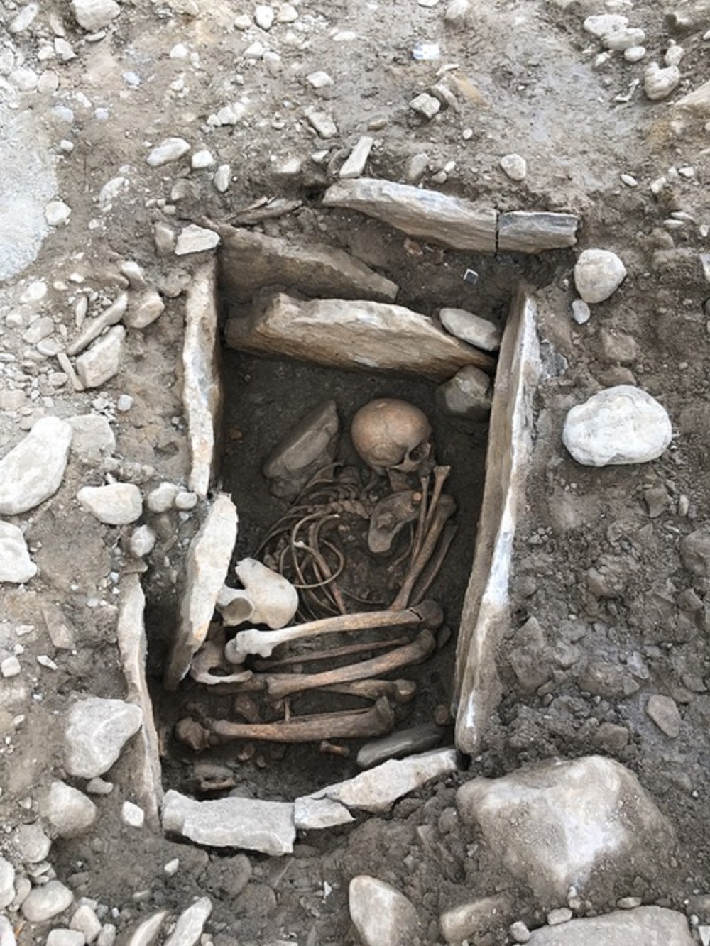 Tombe d'un adolescent ayant vécu 4000 ans avant notre ère et découverte sur le site des Arsenaux.