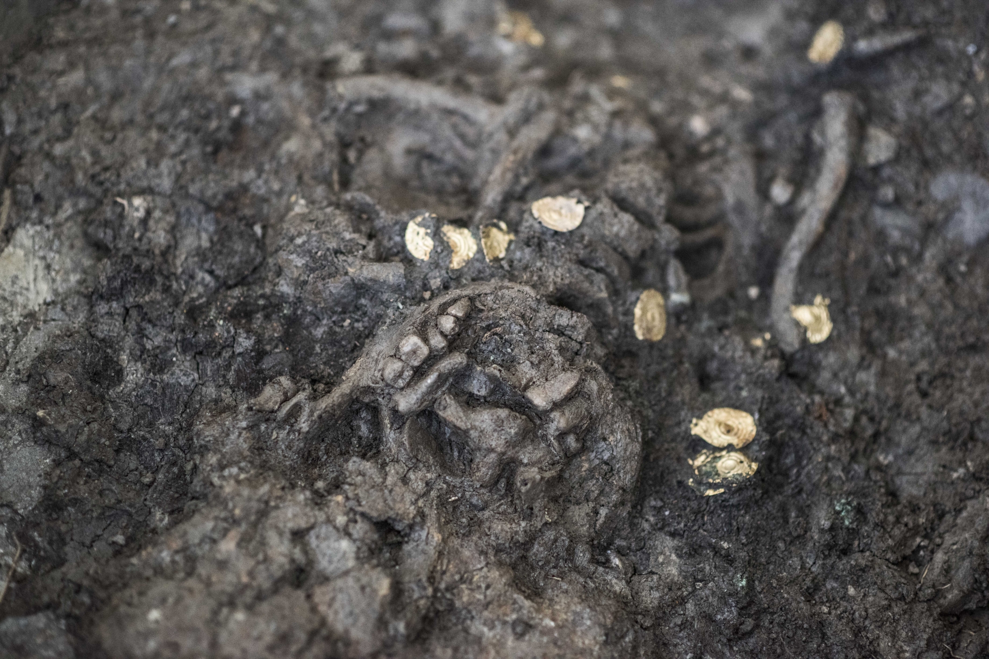 Après un guerrier en avril dernier, c'est une jeune fille enterrée en 600 avant J.-C ornée d'un collier en or qui a été découverte sur le chantier de Don Bosco. 