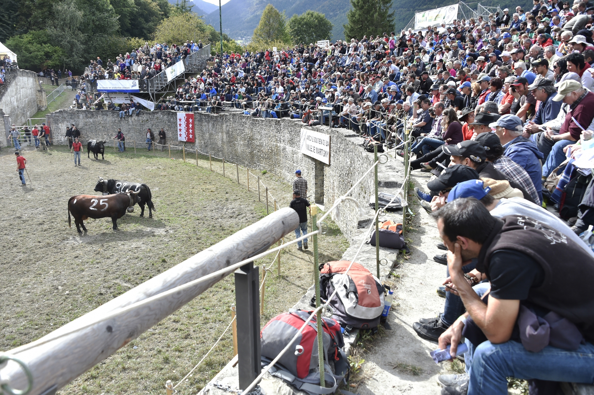 L'an passé quelque 3500 spectateurs ont assisté au combat de la Foire du Valais.