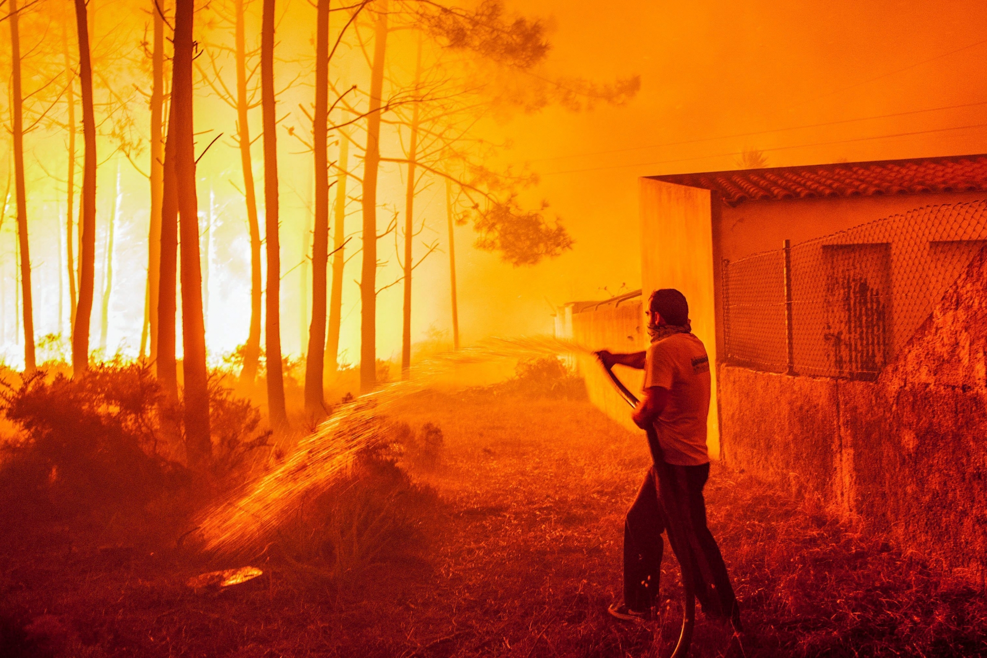 epa06268835 A man fights with a forest fire in Vieira de Leiria, Marinha Grande, center of Portugal, 16 October 2017. 6,000 firemen supported by 1,800 land vehicules are fighting several wildfires all over the country.  EPA/RICARDO GRACA PORTUGAL FOREST FIRE