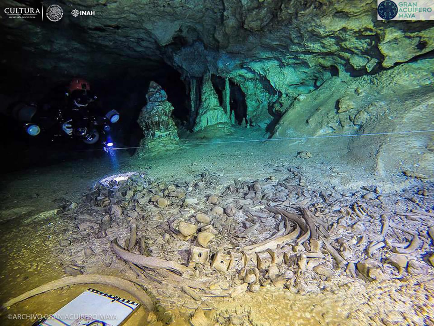 En explorant ces grottes à l'aide d'équipements de plongée, les chercheurs ont découvert différents ossements et objets