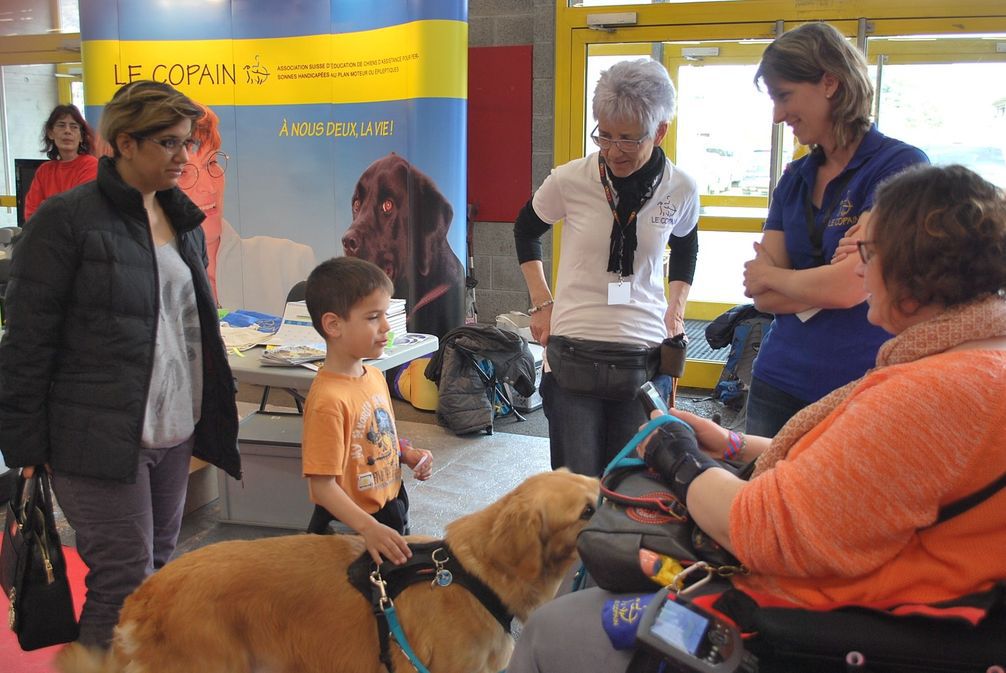 L'association Le Copain qui s'occupe de la formation de chiens d'assistance est présente pour la 3e fois aux Junior Days, à Martigny.