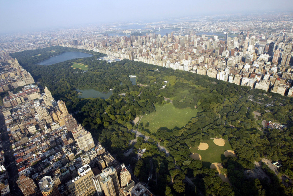 Plus de 42 millions de personnes se rendent chaque année à Central Park, qui s'étend sur plus de 325 hectares au coeur de New York.