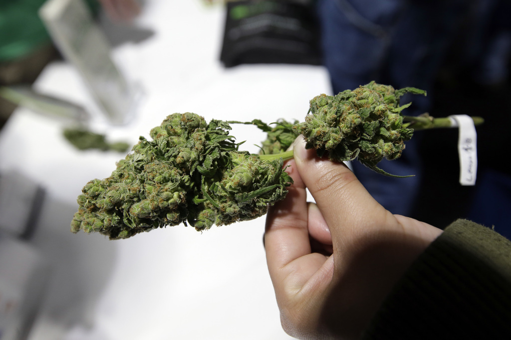 Le vote de cette loi au Canada permettra de créer un marché strictement réglementé pour le cannabis. (Illustration)