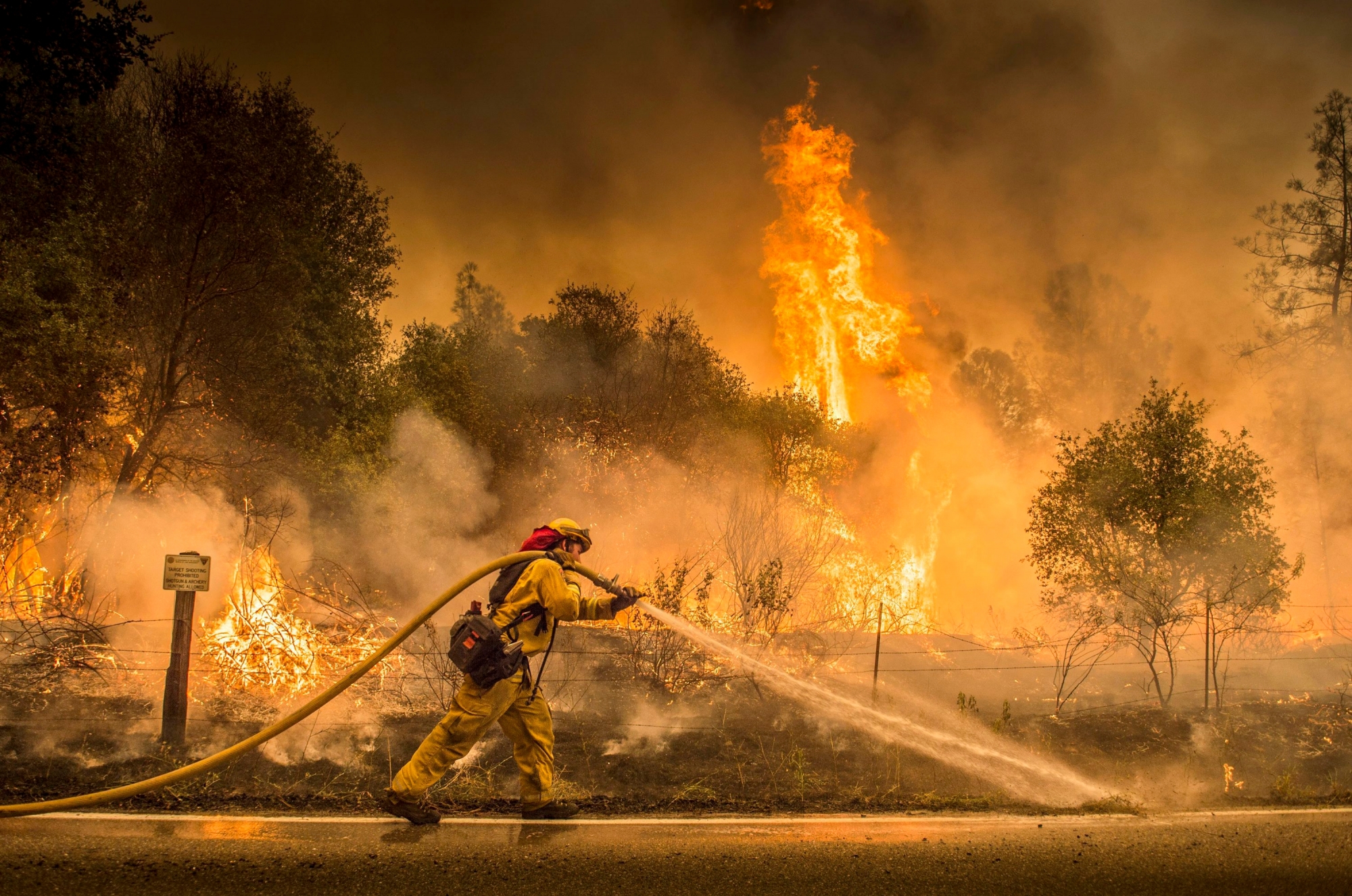 A Cal Fire firefighter waters down a back burn on Cloverdale Rd., near the town of Igo, Calif., Saturday, July 28, 2018. The back burn kept the fire from jumping towards Igo, Calif. Scorching heat, winds and dry conditions complicated firefighting efforts. (Hector Amezcua/The Sacramento Bee via AP) APTOPIX California Wildfires