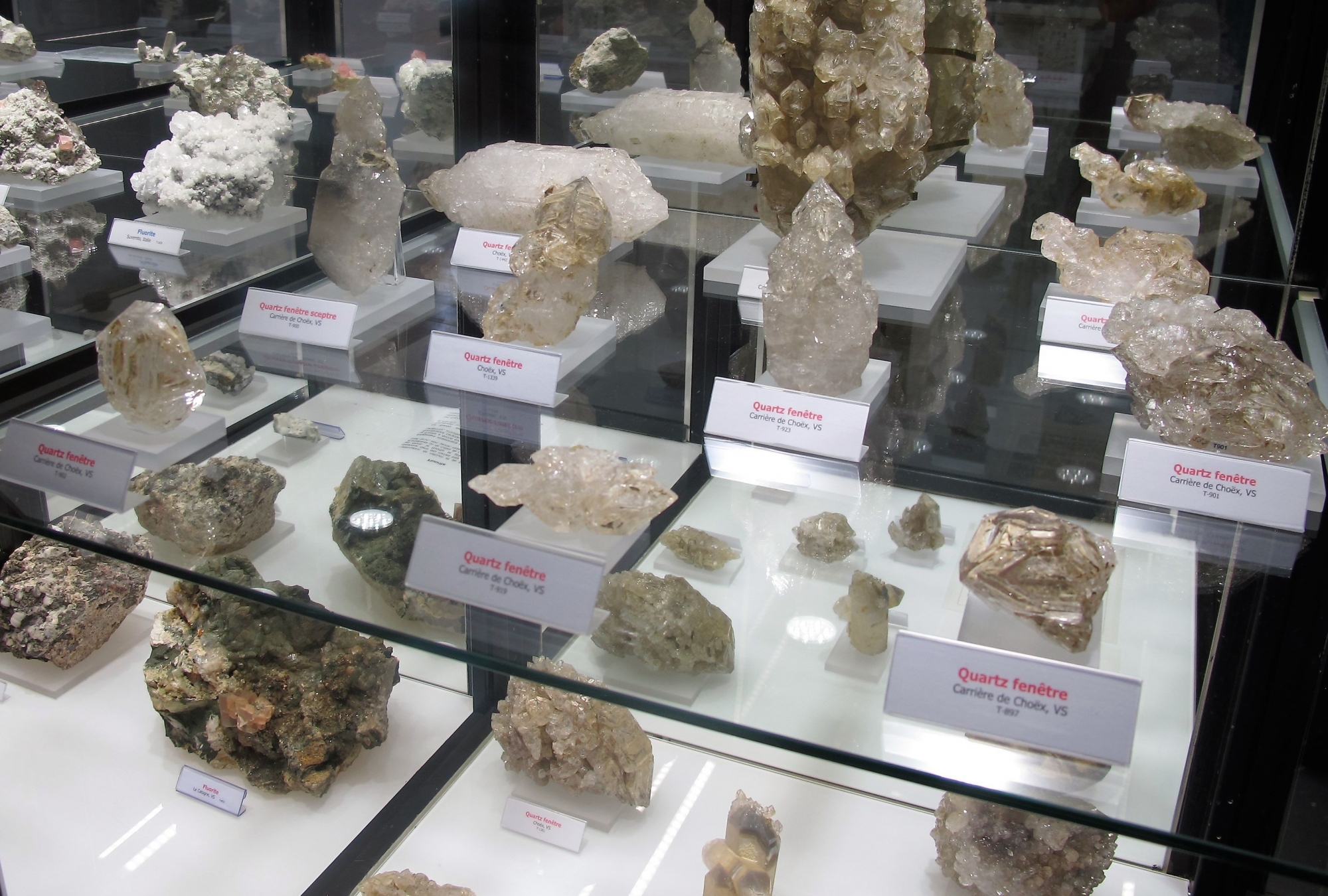 Le Musée des sciences de la terre à Martigny présente la collection de minéraux alpins la plus complète du genre en Valais.