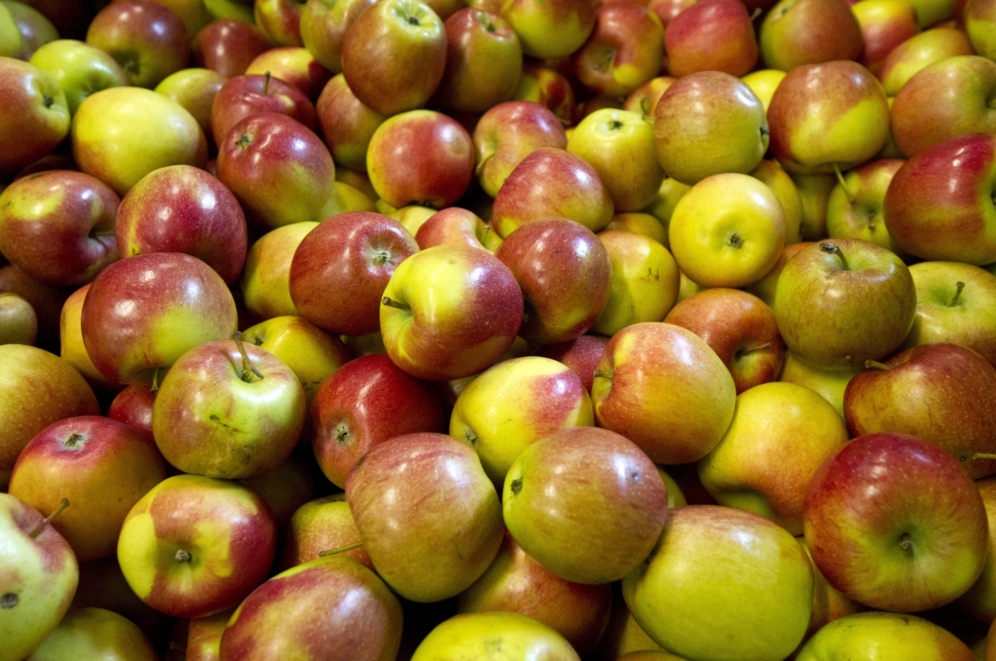 Des tonnes de pommes, de poires et de carottes seront offertes aux élèves des CO valaisans en octobre.