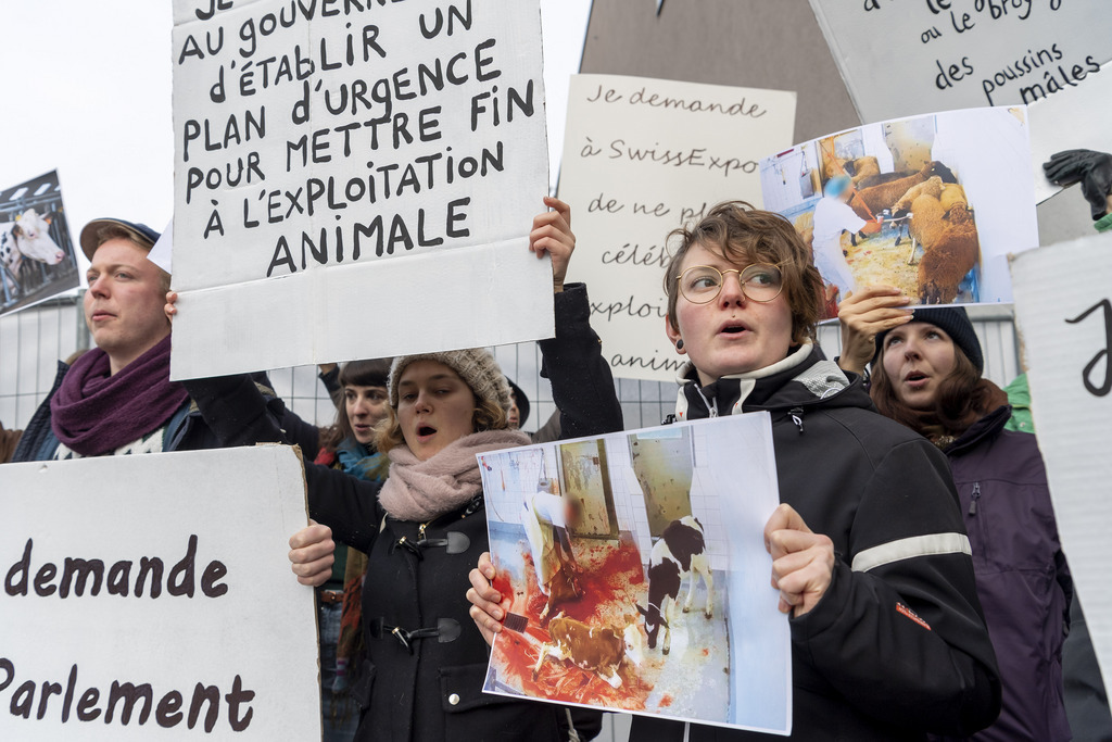 Des antispécistes de l'association Pour l'Egalité Animale (PEA) ont manifesté devant l'entrée du salon professionnel agricole Swiss Expo.