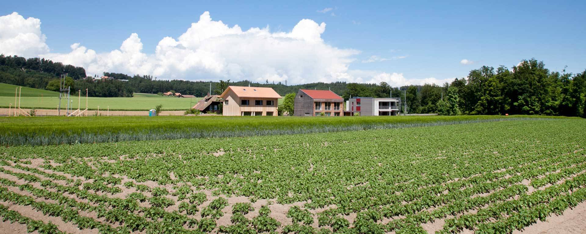 La surface bâtie a pratiquement quadruplé entre 1985 et 2009. Chaque personne en Suisse utilise aujourd’hui plus de 400 m2 de surface habitable, et la tendance va en augmentant.