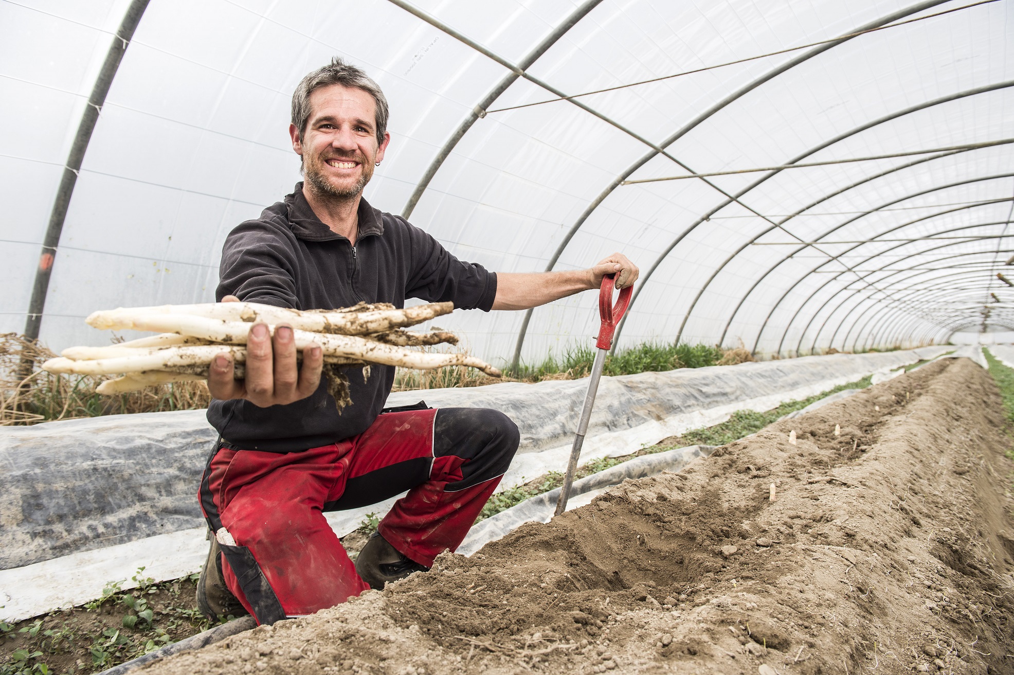 Benoît Leemann et l'un des 35 producteurs d'asperges de ce canton heureux de pouvoir enfin récolter cette ambassadrice inimitable de l'agriculture valaisanne. .