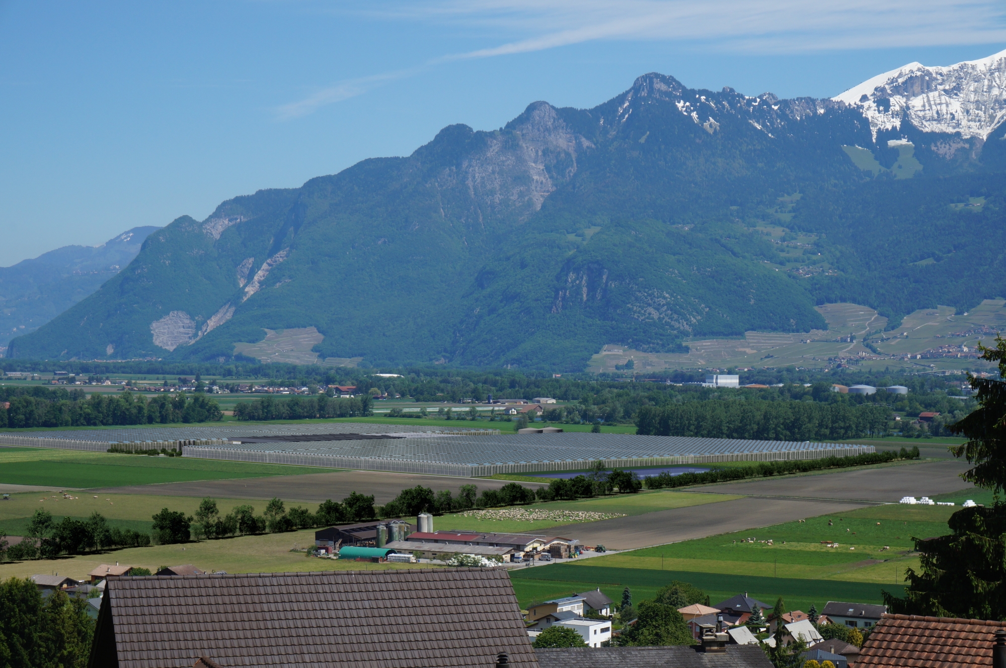L’Union maraîchère suisse s’inquiète de la concurrence de Migros qui va implanter des serres géantes à Collombey-Muraz.