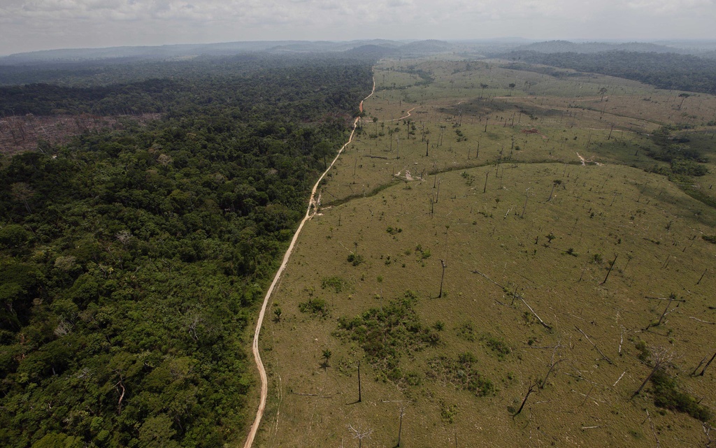 La déforestation tropicale empêche les espèces sauvages de se déplacer vers des climats plus frais. (Illustration)