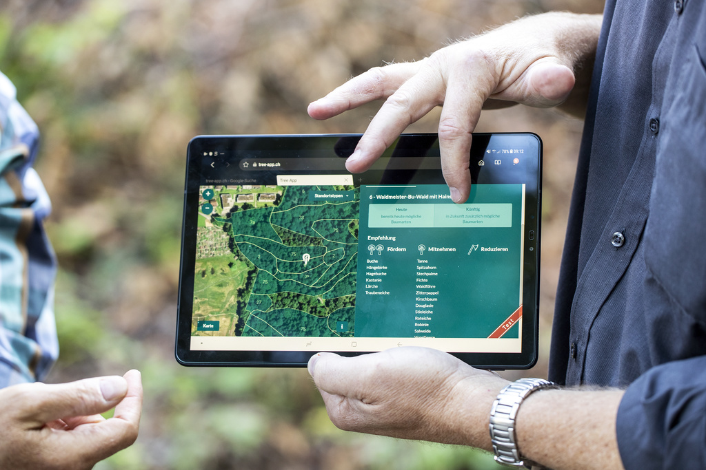 L'app est destinée tant aux forestiers qu'au public intéressé.