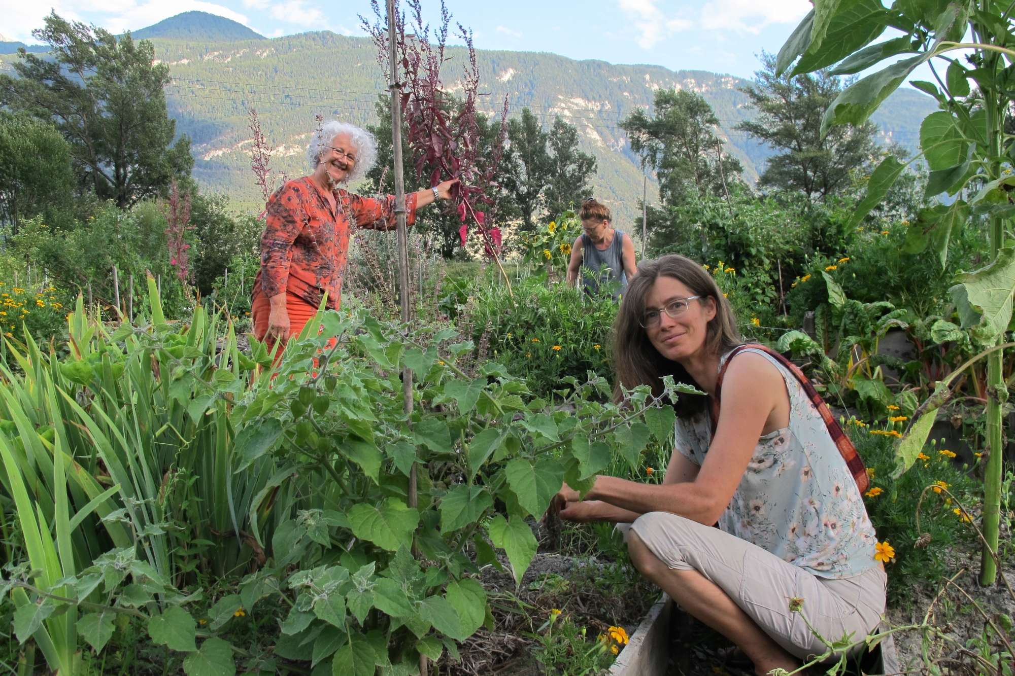 Alexine Rogers (au premier plan) et Marie Crettol (en orange) au cœur du jardin des buttes, où fleurs, fruits et légumes poussent à foison.