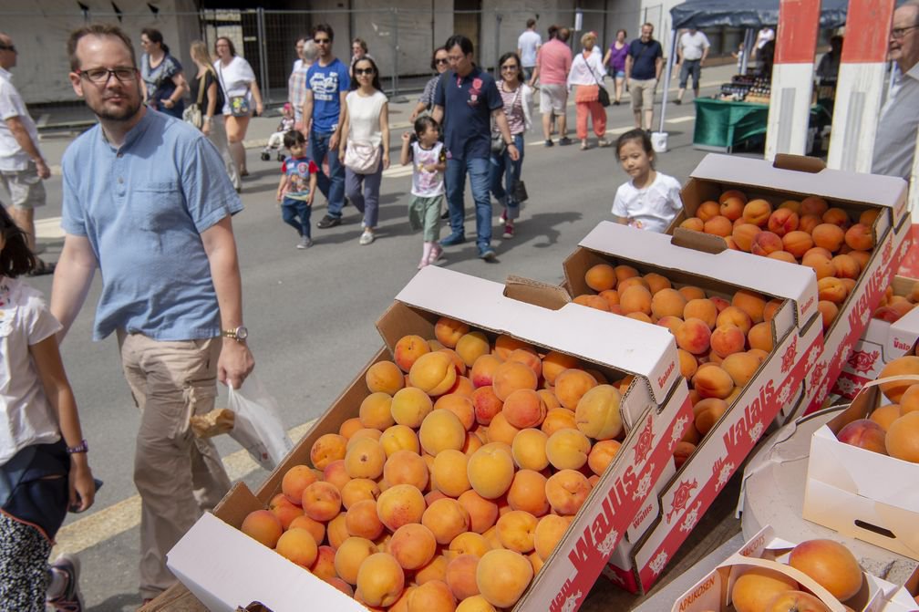 Plus de 4 tonnes d'abricots seront distribués vendredi lors de la journée officielle de notre canton à Vevey.