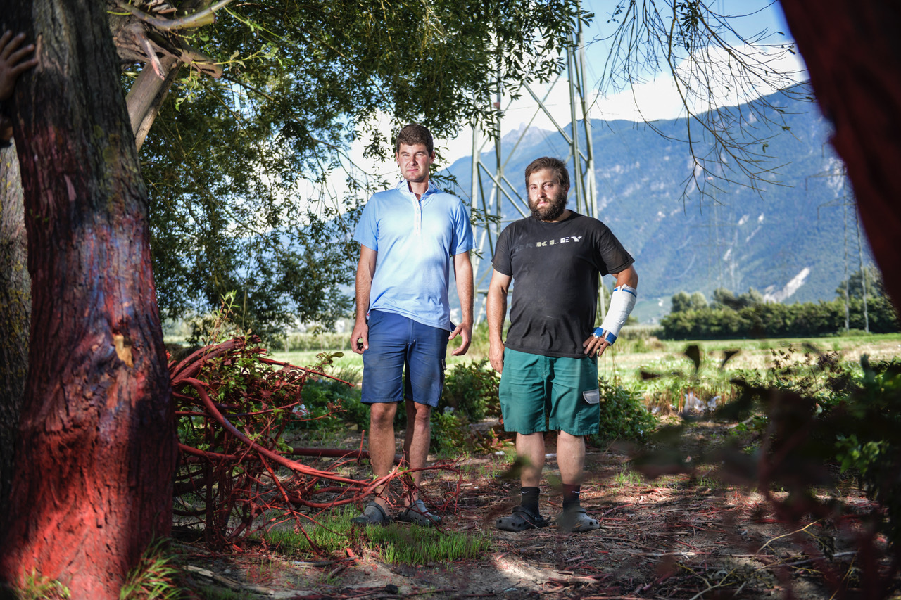 Gabriel Cajeux et Gaëtan Meunier montrent un exemple coloré des dégâts constatés. De la peinture sprayée sur les arbres et le sol à l'orée d'un champ agricole.
